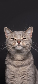 Rm6r8EAEYtvV2yh9939FP2PRG1Ekd-K0rXTDsM9-Z-vp5Rrq48X-QmPBqVAe_G3cddpt2eAPXqu8w0LxnDkxwCzt