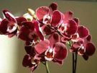 images-24