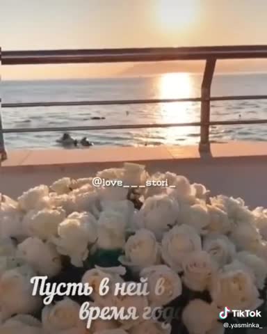 98706c6ab6e8cb38f0001c94bf184ec6