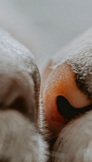 lGU51zz3M5qjOYaU5kAK_RST21UaHdVKFFcQSi4StgNKcz0t6Ip2Tg2tBZPPjiXx3nr8r8LrwSlDhVBOyHTkuTm9