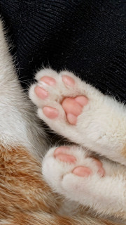 -6g4CGxt0g_zd99-xgSUlEPjgfhdA2lpnJQ99krY2JjFSNsTwvGKLExDbXzB9f1cWa8jWZifed_d3vUolM-bVyXc