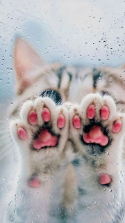 1sgHJZM1s7AWBsHxjQqhViPuYN8s7Mt_97obmoFkPBX_F2dAa11VY0syEv9Km05XeUjtFbpvjX1mIHSnw07bu1lj