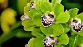 images-27