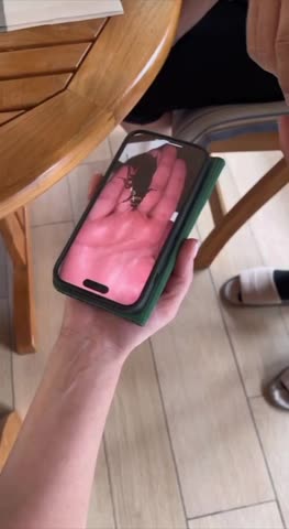 Фокус покус