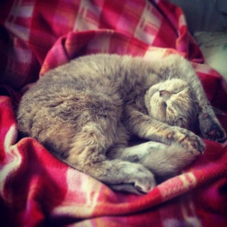 fqkDeD1nCzDZFXMbwnEy0ja_v3UJg0xuCoeyblgWMVqIkcFHmJ9_Kdmty4LTNCTTh6eY-FuTPomLoer21fssqyI-