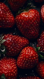 FSfxeMqB2s7xteVbnhhbP5huRk9C0zhoTf-DT1a5HgdrNbpSsVvmX58iPN4VtItR4G5-ySpYb-QZaWcvnVRtFBeg