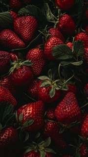 2BVnhjy3nb46FJS1JpZBjn61jPvsRClF3fddsFMrQFGwgpK-spzWz5Z4TM4H3nTyEdxxqKZLIPhtJGKMfyFxe8wG