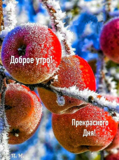 IMG-ff0c110734424c4f2ead301d647cd93c-V