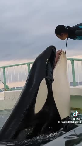 bbfa165e23bda5525c7476dbc4751f8f