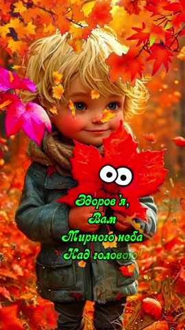 video-95d5b6086d2f841adef4b684d489edc2-V