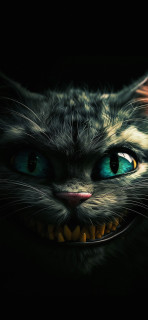 e-Pqeotx0gRzfI-YDOlk8UarjWw5lkPjEN9OgasHXPG5qZBhQ0oS5sLYCyUwkwutt4975uYzeCYJyE3VRK5TLy5a