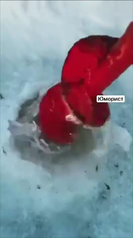 2_51927153188536497631