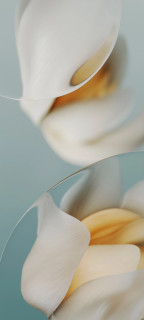 9K6hxmDTDKzwQyszF6m90vdu5B_4QZbOPOK0nqLAhug_qFTr_RXG005NytoM0-XIhBhUuTUajKkZaBI20SJRxgiV