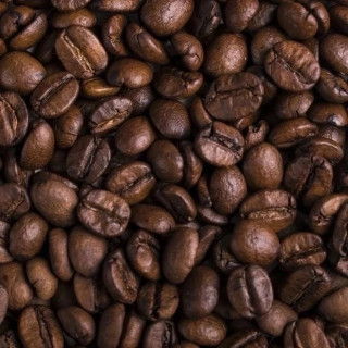 EMIb1BlVLNCiJNj56p6b5tpDjcBLP3criPOx5-384Z7GGcAQIDKGSvYoRE3GAavcYTmnubmJvCl0CjQ4pcZbKbX-