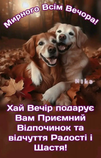 FB_IMG_17314320431593720