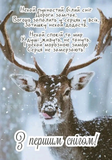 FB_IMG_17315714720154833