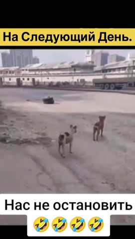 нас_не_остановить