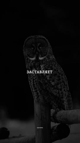 AQOJ2eWq9jIh34Clar6XltKUovfLBn-ZSCA9sVLZ9ZmpyUjZNaXpr9IfWWgXQKQzmTX3x3ZoTtfcLndh3y3Y-s2J