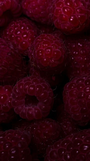 8Z-w_ifEITUoMNzfQR5nwGLedeH16t3MY4gHwLKJrZLwgy_DSaqpmVarFFRQ1Uj_wzVUT6FxehbQSaMHD3iUi_8l