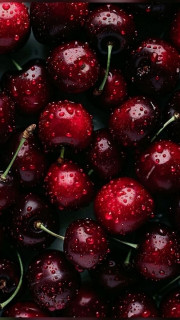 wDxzFmUKIo_9HXtmdNt5wbIgXkUQGwt9NqK2ndOEO_gbzKmrgIm34qQZaKmmrcy9lk2-VpKLytNc9RW2X1gOlgUe