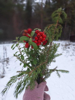 IMG_20241117_203155_905