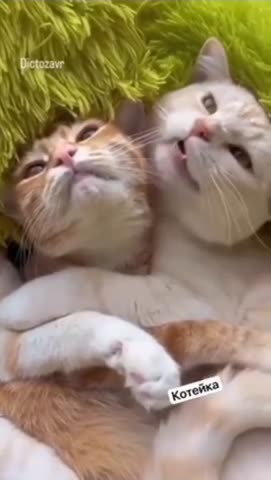 засыпая_с_женщиной