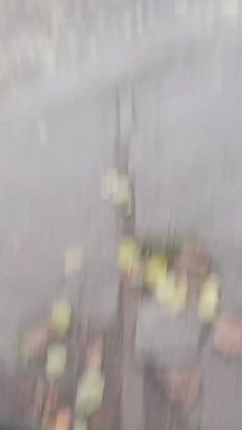 2024-11-20-081701395