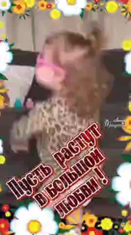 VID_20241120_130525_034