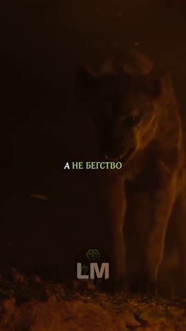 AQP0HheoQu_2yREAEcbiUh48wKCSxQwVHkojSsTB9LitS2iJDEo77hj34cTiBKw4nhDFUgsSiKs5rJ8JwSb5qBEJ