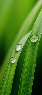 xND8HjUb0nWvxI_N3CM8GjrQzinAE6dSiDBtHJ4WQBKSWmpWIJZp6-l5QNaOak7dtdwQCfDw_Qzw2So3bR2DnCKv