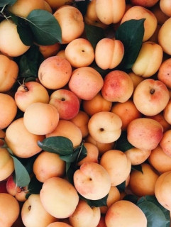 P0HvLgh0_OmR7L0y7N03Zy6vzblwuoBFfcOWPW1QrWOusr7rKYQMMj5rryTcexH9YnoJA7_IPwjcNPKiaVZiFB