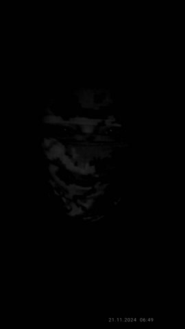 2024-11-21-074211931