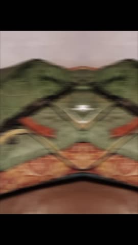 2024-11-21-162106476