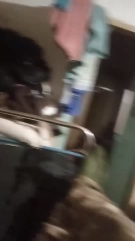 2024-11-22-172809231