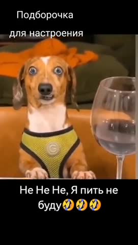 прикольчики