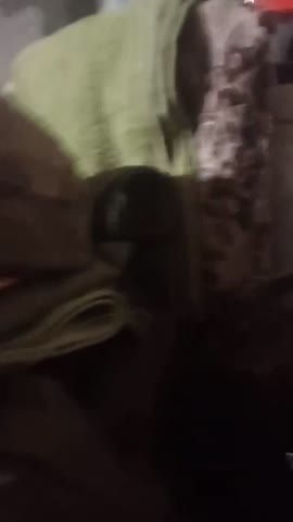 2024-11-24-121102271