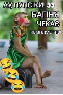 IMG-66cb72cad25d6e188680659db0be871e-V