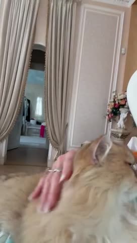 _2_53978232430107269211