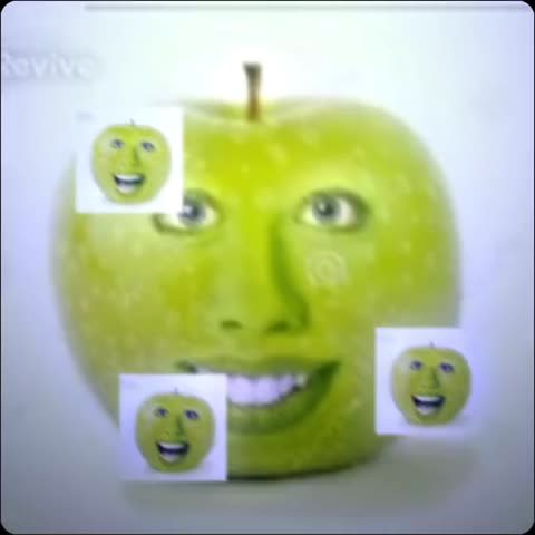 VID_20241124_010746_901