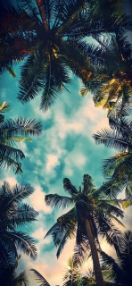 QM2qLYNz02qeO3zVtoM-hov7h40n-8dGfMtwrYR-XhlG9BKWwj0sXMvCHRYBj2OeKSSrQJlZM69nR7In28V2ihqJ