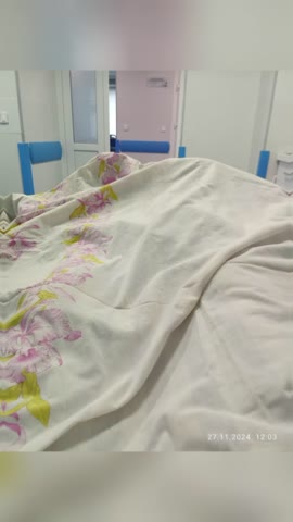 2024-11-27-194141667