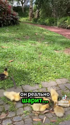 c1bf7c53861523fac7e7dbc9fa17e357