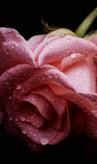 E8jGcEB_mY8FvwdRbsO57XHlC0Cq1kXEuIJTbMfdJo6DRYt6j8ZRoSclMwRIGE_L7UbbT1osVacJf9jCzgH7vDkg