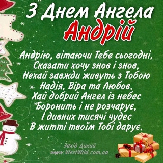 FB_IMG_17329664019510545