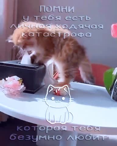 Рыжий