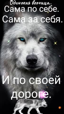 Просто_одинокая_волчица