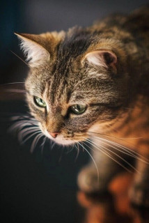 xgM-tZhGngZPGAazWYowisfwJ7oAJiWr3sJMGfHpIeUa4EZ0lLp3jSMoOCE2CQPlev9j21no2jFax8UjXrTRhbOO