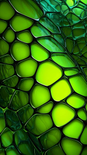 iyYsoFahI6fFVS8Az8IgnaM0wyyPkWx4zrabu8I0bp3UJ-LnWbD-YI-RTCa0t2lUz1GYqhUb9D3PCKbZUCv2RDAV