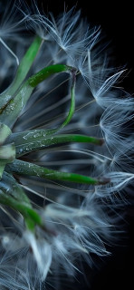 9zrp3wGn5hbB2beLa2W4Y2LY6lGI7lJB5Y8TsajtLK0TvzU7TmkkkyZ5TZgpNcXuQilS4-YAR1km_uWaNIHgEyZd