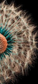 hqYQkgU0NLY7Jl4mwQsTXJVfV8BoPxn_g3A08sXlABhjUu_pgXd95trZEYtUBpZPEDs2nWxF2amhAN8Ush6sepcU